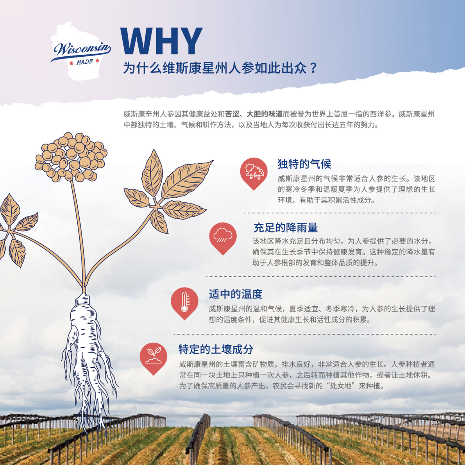 威斯康辛花旗参产区环境说明